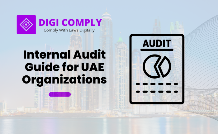 Internal Audit Guide for UAE Organizations – Digicomply